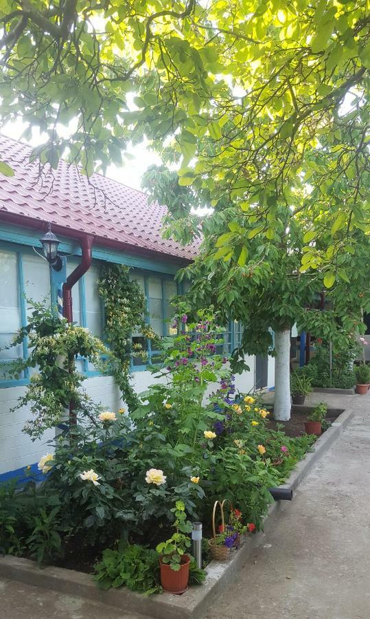 Villa Casa Bunicilor Granny'S House à Jurilovca Extérieur photo
